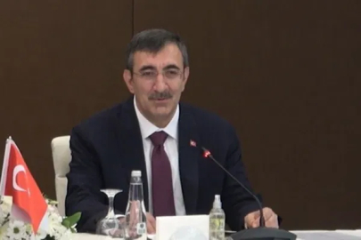 Yılmaz, Romanya Cumhurbaşkanı  Dan ile Erivan’da görüştü