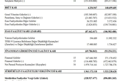 Pasifik Gayrimenkul'ün faaliyet raporu