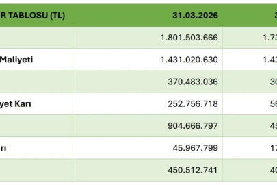 Ecogreen Enerji'nin 1. çeyrek finansalları