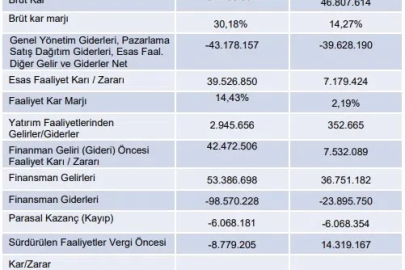 Sanifoam'ın 3 aylık finansalları
