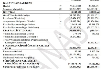Manas Enerji'nin ara dönem faaliyet raporu