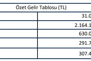 ARD Bilişim'in ilk çeyrek rakamları