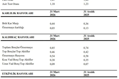 Ege Profil'in ilk çeyrek performansı
